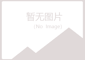 铁山港区安容建设有限公司